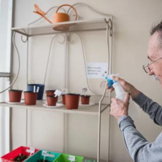 A person waters plants in pots placed on a shelf indoors.
