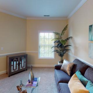 A cozy living room featuring a sofa, coffee table, indoor plant, and decorative elements.
