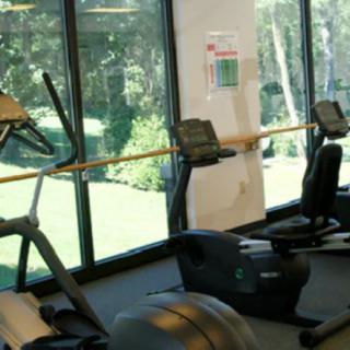 A bright fitness center featuring several treadmills by large windows.