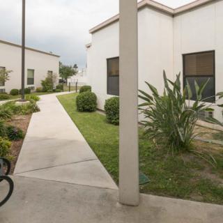 A view of a building with a concrete pathway and landscaped shrubs.