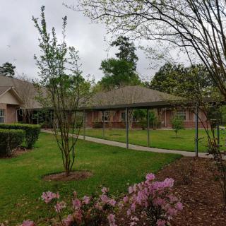 A suburban home with a well-maintained garden and pathway.