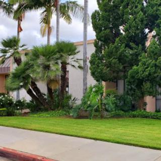 A building surrounded by lush greenery and palm trees, with a sidewalk in the foreground.