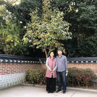 A couple posing together in a serene outdoor setting, surrounded by greenery and traditional architecture.