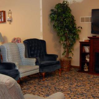 A cozy living room with several upholstered chairs, a television on a stand, and a leafy green plant in the corner.