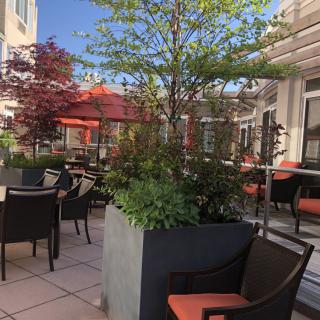 A sunny outdoor patio with seating, plants, and umbrellas.