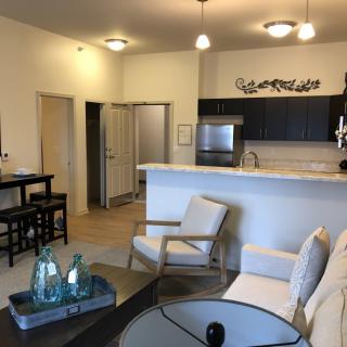 A modern open-concept living room and kitchen area with stylish furniture.