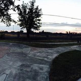 A serene outdoor scene at sunset with a tree, pavement, and open sky.