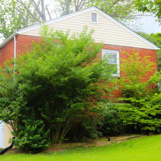 A charming brick house surrounded by lush greenery.