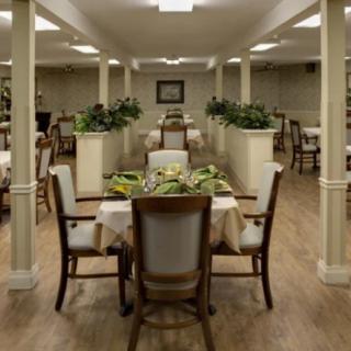 An elegantly arranged dining area with neatly set tables and chairs, featuring decorative plants.