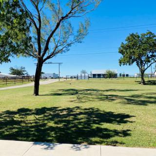 A sunny day in a park with green grass and scattered trees under a clear blue sky.