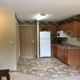 A small apartment kitchen with wooden cabinets, a refrigerator, microwave, and a sink.
