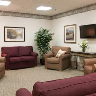 A cozy living room with sofas, armchairs, and decorative elements.