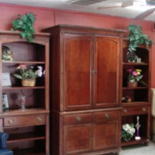 Wooden cabinet and bookshelves with decorative plants in a room.