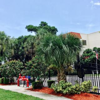 A vibrant playground surrounded by lush greenery and palm trees on a sunny day.