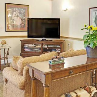 A cozy living room with a television, comfortable couch, and elegant wooden furniture, accented by a potted plant.