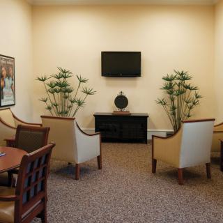 A cozy waiting room with several chairs, a television on the wall, and decorative plants.