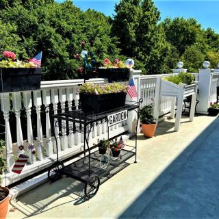 A sunny balcony adorned with potted plants and garden furniture, offering a peaceful outdoor retreat.