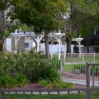 A tranquil garden setting with a white pergola, surrounded by trees and shrubbery, enclosed by a fence.