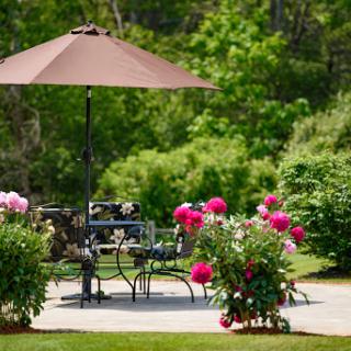 A tranquil garden patio adorned with vibrant peonies and a shade-providing umbrella.