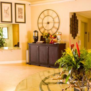 A cozy living room with a decorative wall clock and vibrant plants.