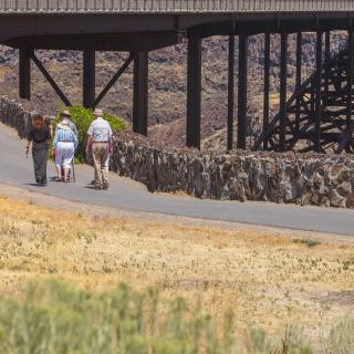 A group of people walking on a trail under a bridge in a natural setting.