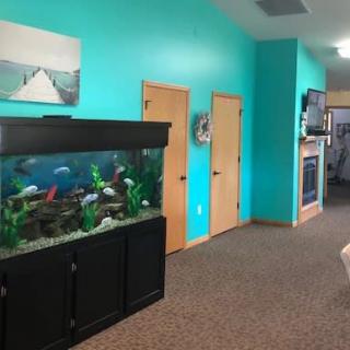 A brightly colored waiting area featuring a large aquarium and teal walls.