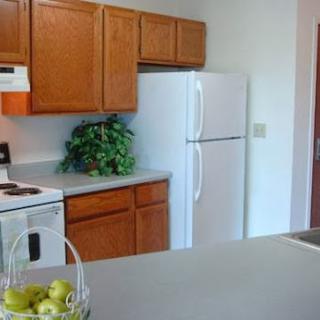 A modern kitchen featuring wooden cabinets, a white refrigerator, and essential appliances.