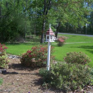 A charming garden scene featuring a birdhouse surrounded by lush greenery and shrubs.