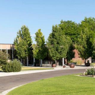 A well-maintained road lined with trees leading to a building surrounded by lush greenery.