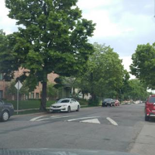 A quiet urban street lined with trees and parked cars.
