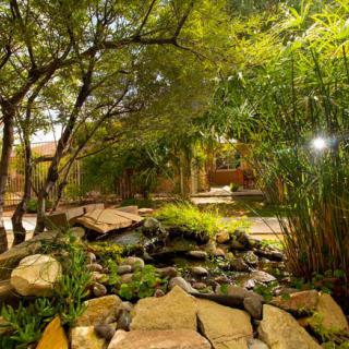 A serene garden landscape with rocks, trees, and lush greenery.