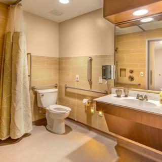 A modern, accessible bathroom with a toilet, sink, mirror, and shower featuring handrails and a curtain.