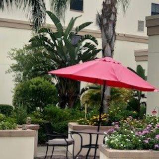 A patio area with a red umbrella, surrounded by lush plants and flowers.