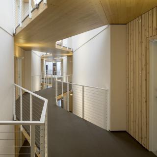 A modern interior corridor featuring wood paneling and ample natural light.