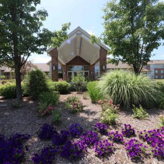 A beautifully landscaped garden in front of a modern building, featuring vibrant purple flowers and lush greenery.
