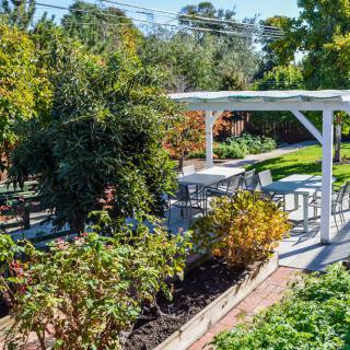 A lush garden with a white pergola and various plants, creating a serene outdoor space.