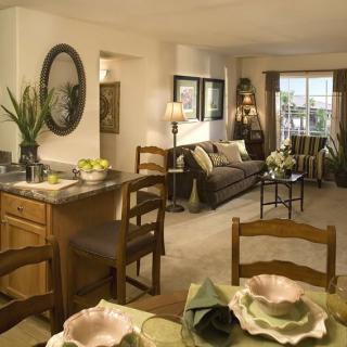 A cozy living space featuring a dining area, kitchen, and comfortable seating with green plants and homey decor.
