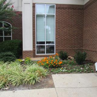 A small garden with flowers and shrubs in front of a brick building's window.