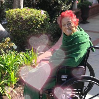 A person with vibrant hair sits in a wheelchair outdoors, wrapped in a green blanket and enjoying the sunny garden.