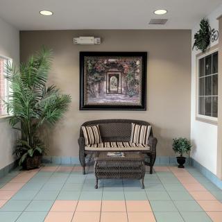 A cozy waiting area with a bench, plants, and artwork on the wall.