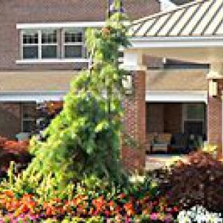 Jewish Home Assisted Living