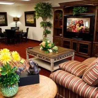A cozy living room with comfortable furniture, a television, and decorative plants and flowers.