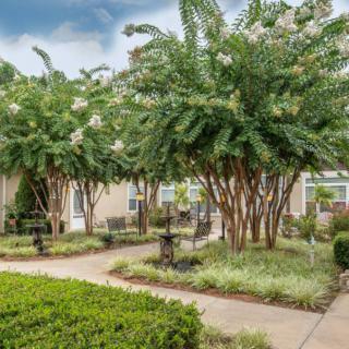 A serene garden with trees and a pathway leading through lush greenery.