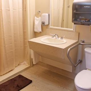 An accessible bathroom with a sink, toilet, and shower.