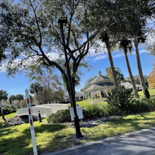 A serene view of a landscaped area featuring trees and palm trees under a clear blue sky.