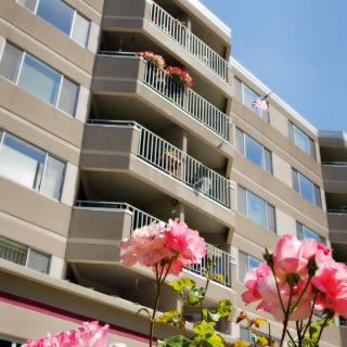 A modern apartment building with balconies adorned with pink flowers against a clear blue sky.