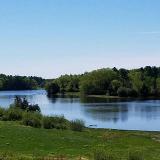 A serene lake surrounded by lush greenery under a clear blue sky.