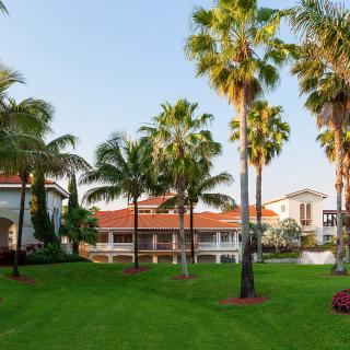 A tropical resort with palm trees and a well-manicured lawn.