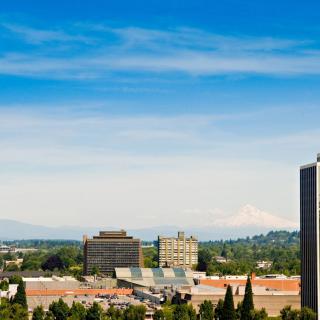 A panoramic view of a city with buildings and a distant snow-capped mountain under a blue sky.
