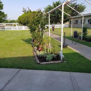 A well-maintained garden with a clear pathway and lush greenery.